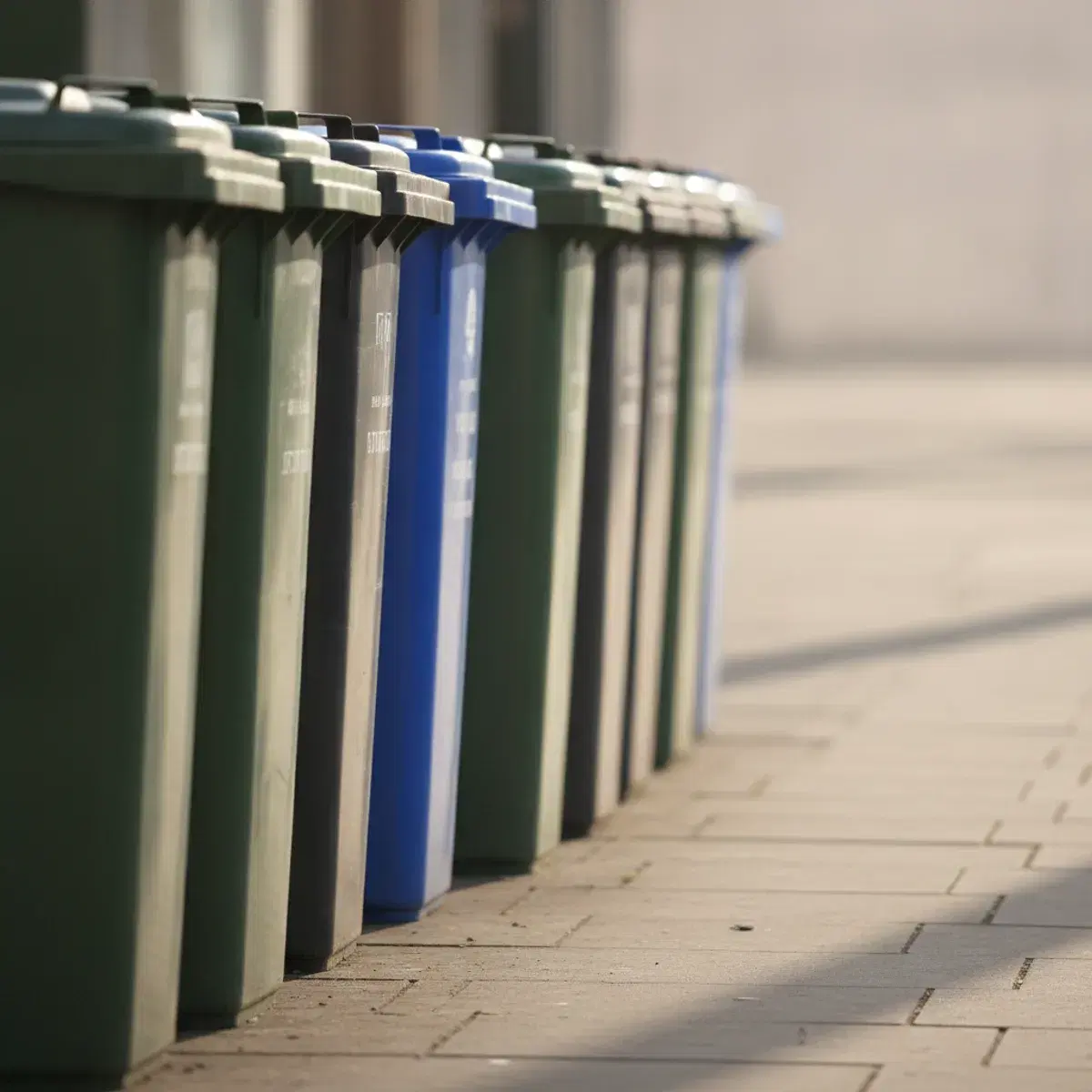 Newcastle City Council Services: A Practical Guide for the City Centre