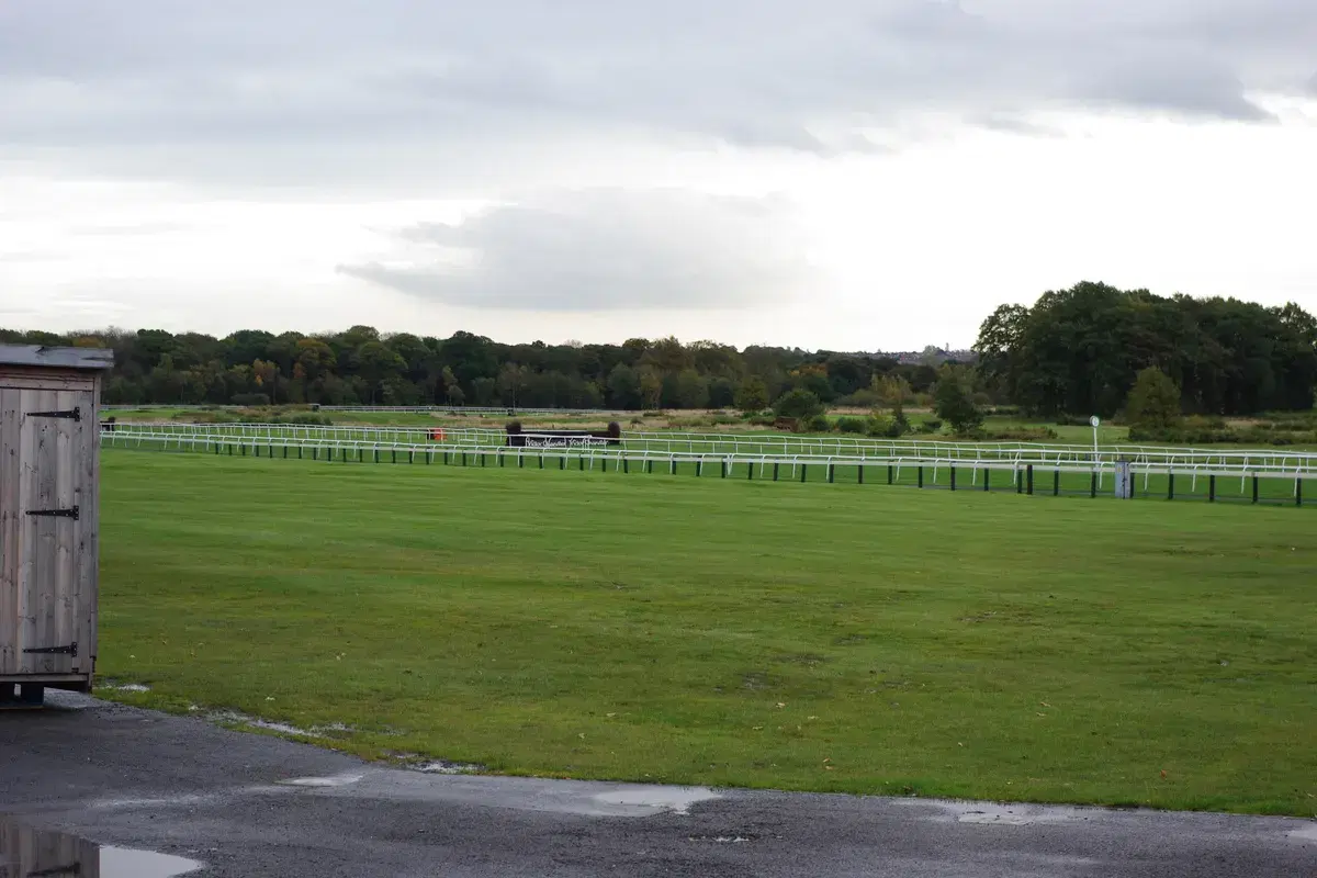 Newcastle Racecourse: Fixtures, the Northumberland Plate and Ladies Day